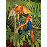 Painting by Numbers Bird Parrots